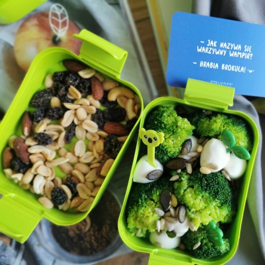 zielone pojemniki na jedzenie dla dzieci lunch munch